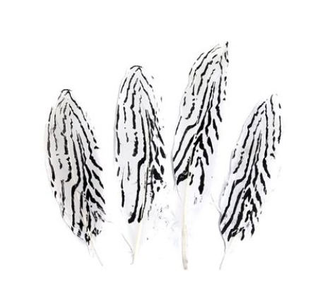 말무늬 전사 깃털(지브라-10개)